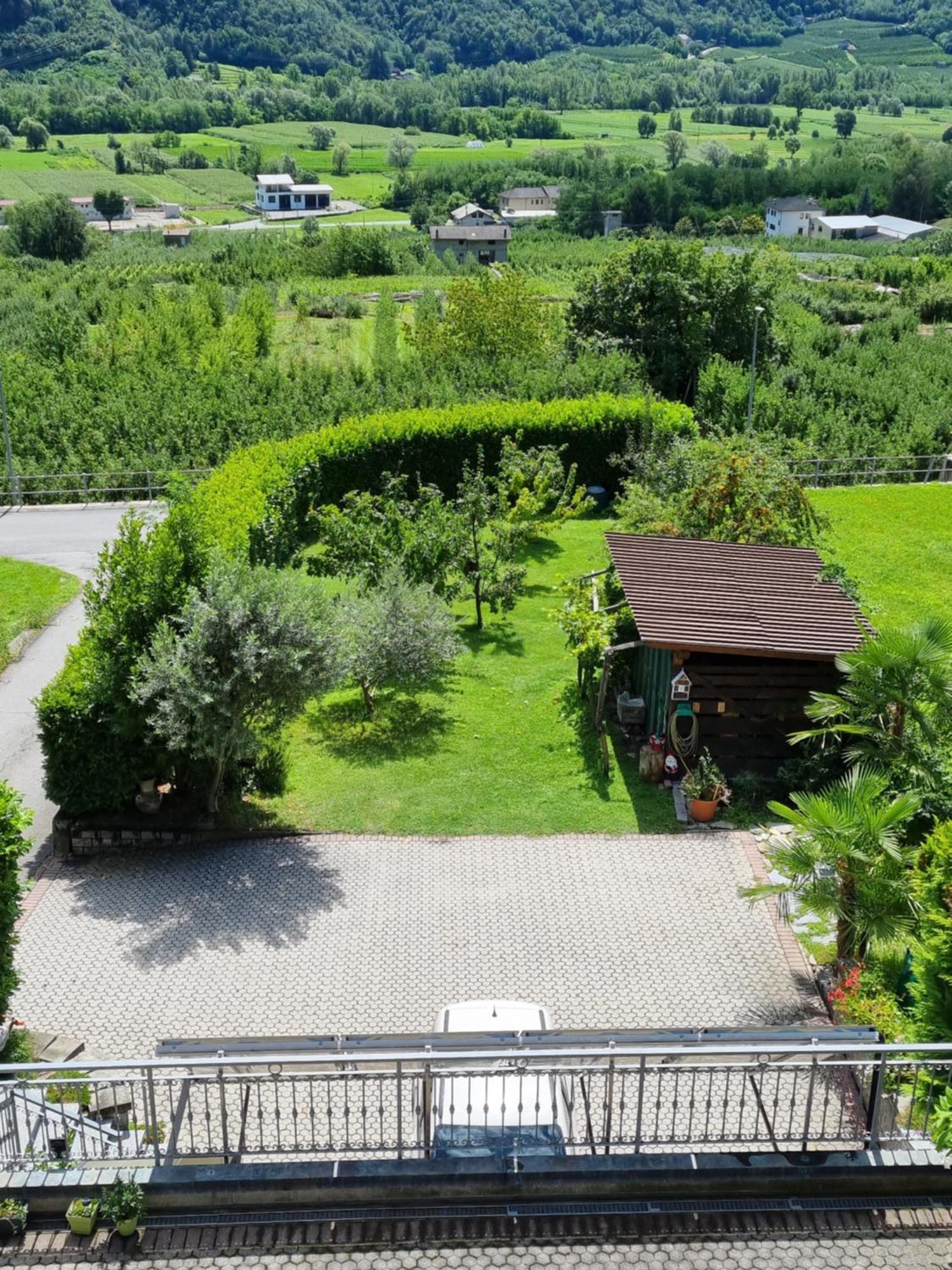 B&B Il Grappolo Bianzone Εξωτερικό φωτογραφία