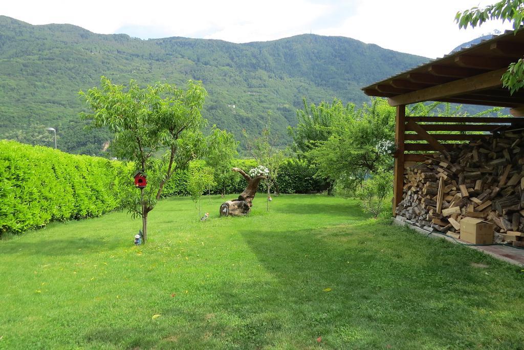 B&B Il Grappolo Bianzone Εξωτερικό φωτογραφία